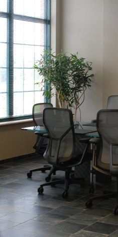 Employee Benefits Law Rochester, Albany, Syracuse